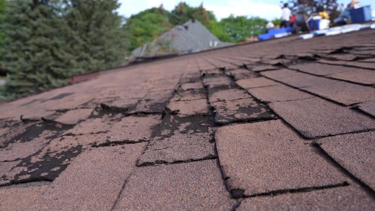 Best Storm Damage Roof Repair  in St George, MO