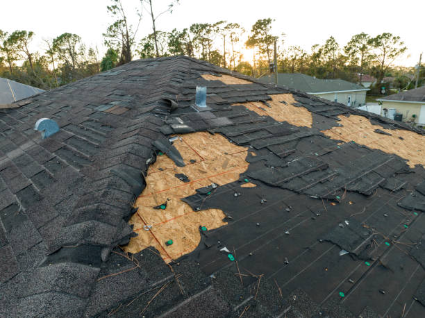 Best Steel Roofing  in St George, MO